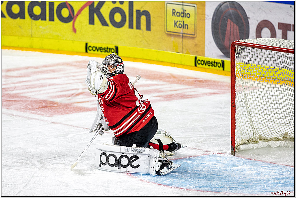DEL; Koelner Haie - Adler Mannheim; Koeln, 01.11.2019